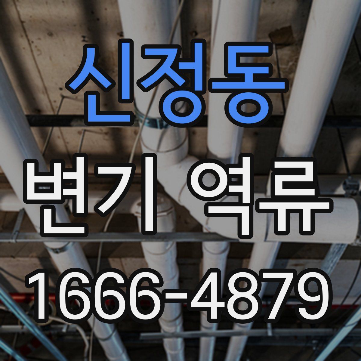 신정동 변기 역류
