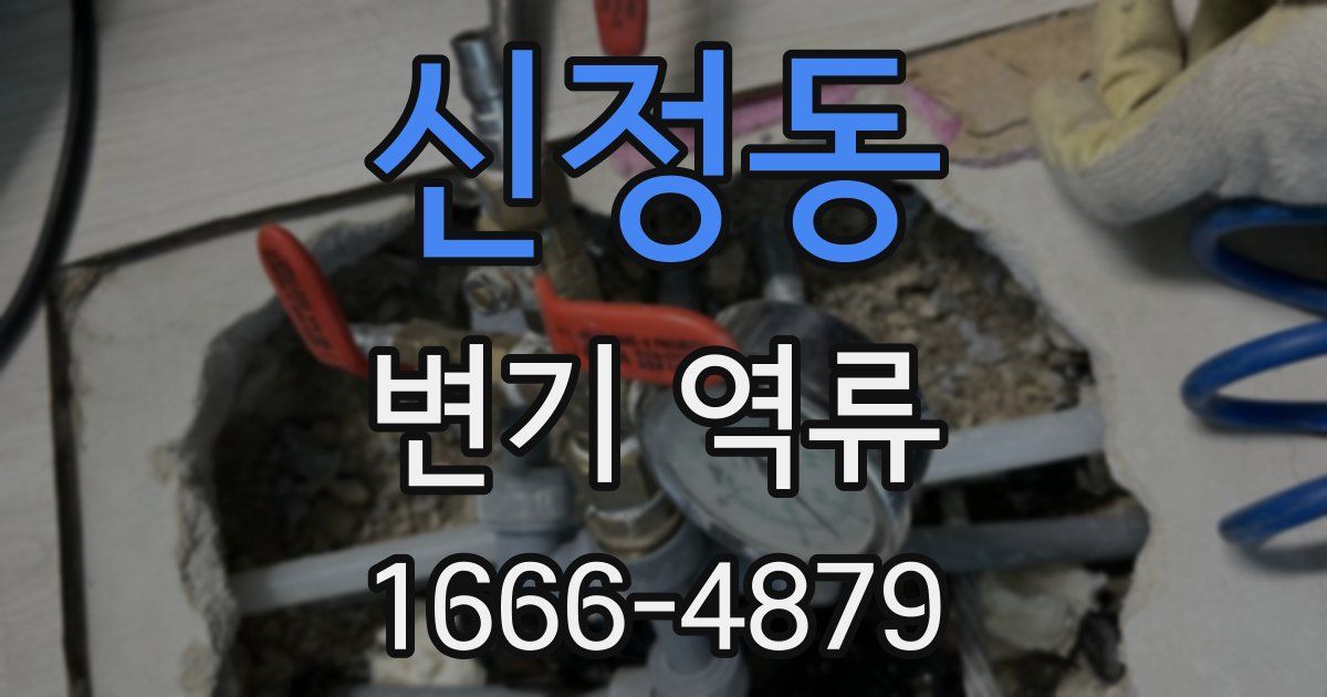신정동 변기 역류