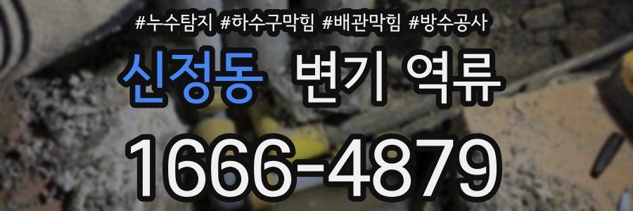 신정동 변기 역류