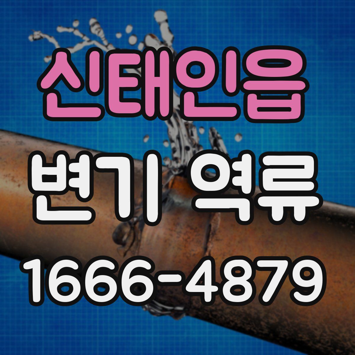 신태인읍 변기 역류