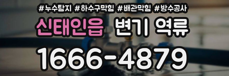 신태인읍 변기 역류