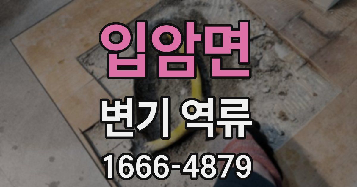 입암면 변기 역류