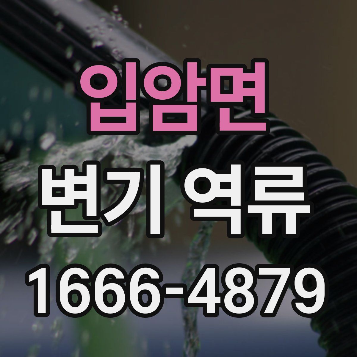 입암면 변기 역류