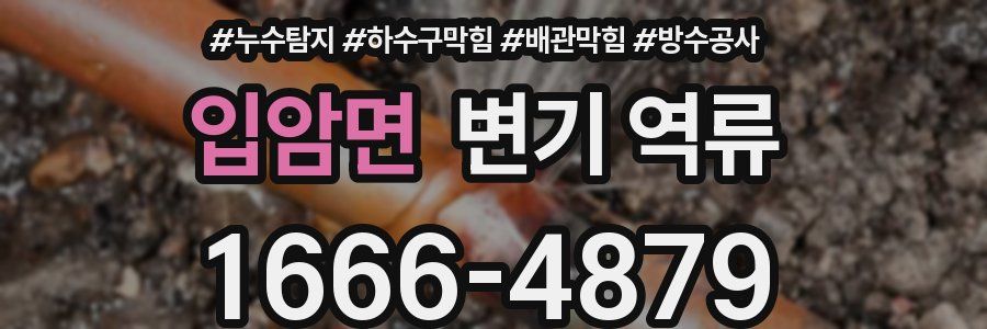 입암면 변기 역류
