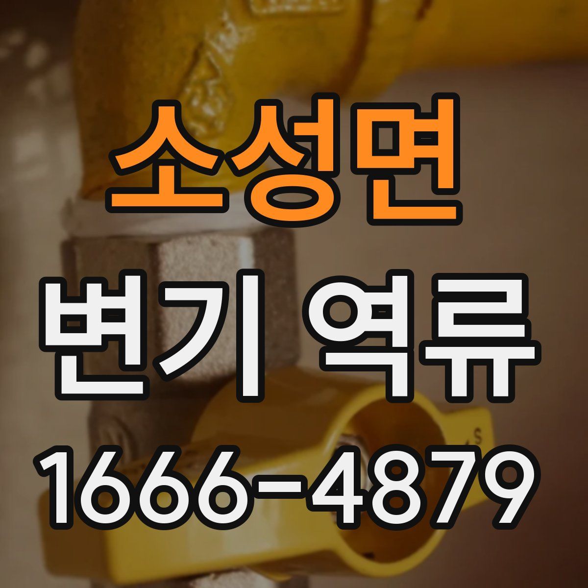 소성면 변기 역류