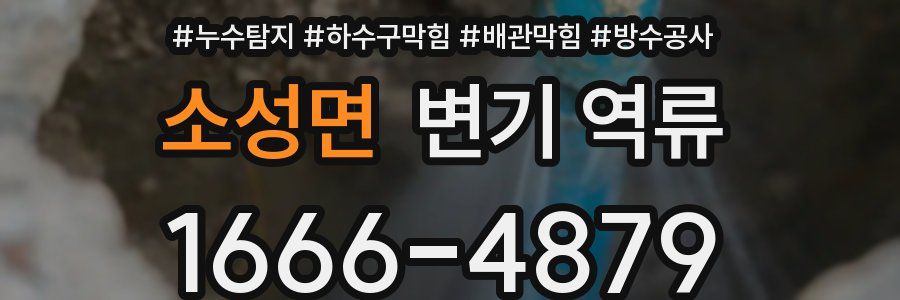 소성면 변기 역류