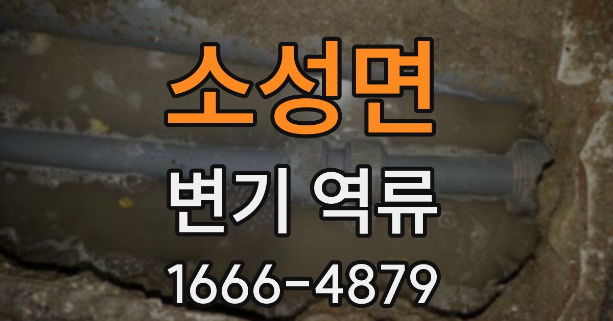 소성면 변기 역류