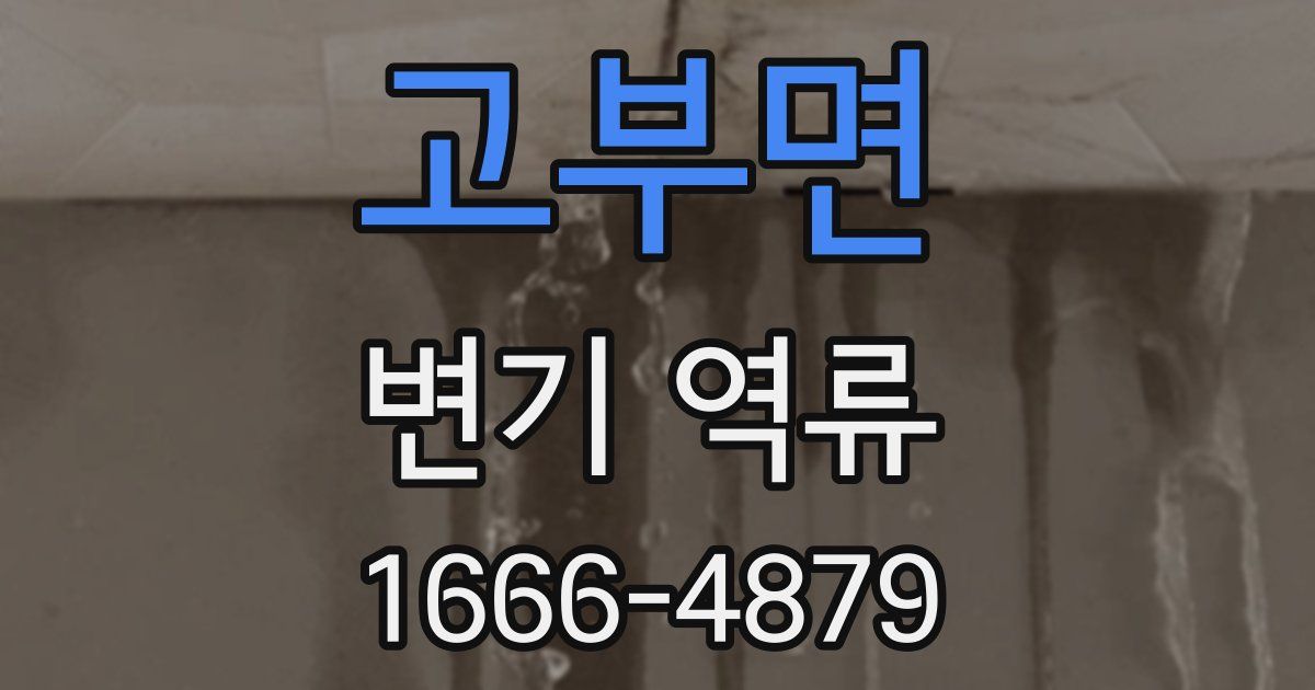 고부면 변기 역류