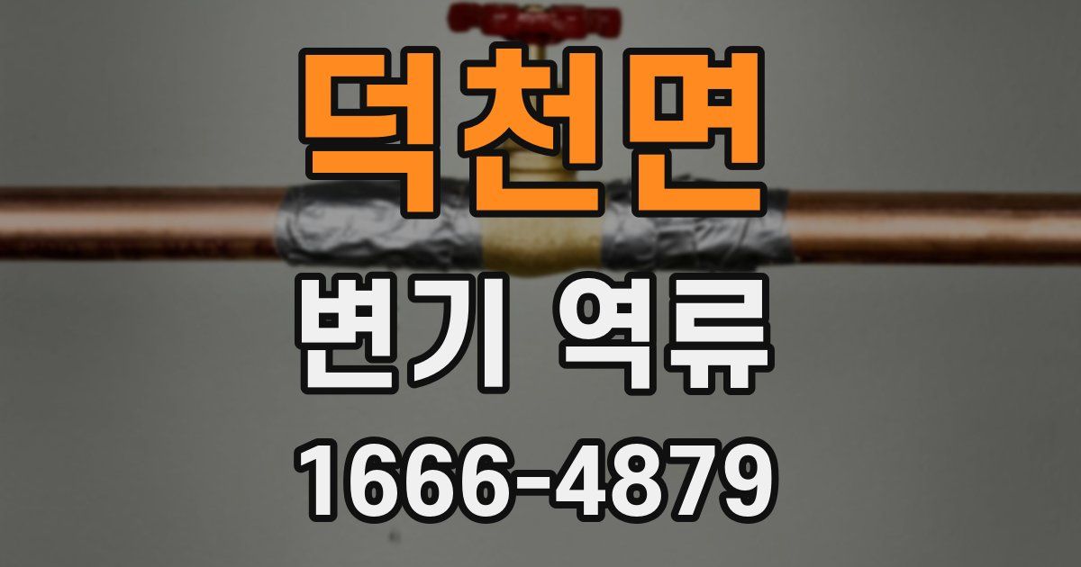 덕천면 변기 역류