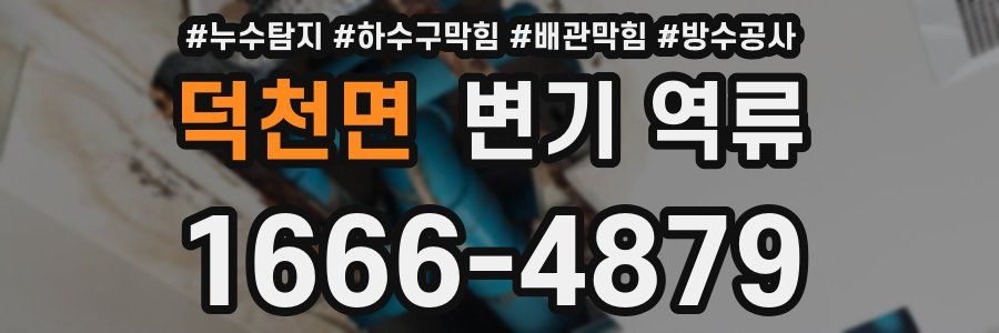 덕천면 변기 역류