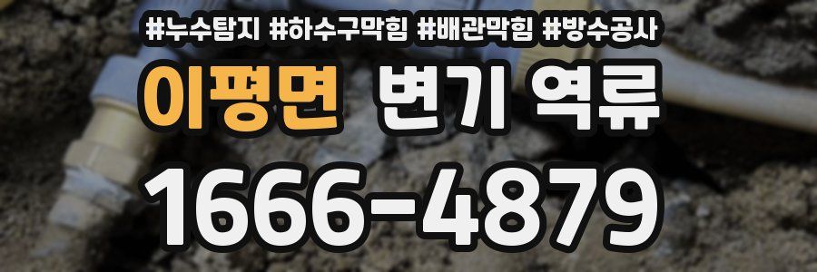 이평면 변기 역류