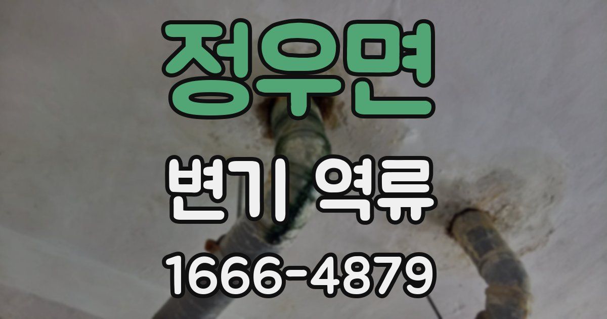 정우면 변기 역류