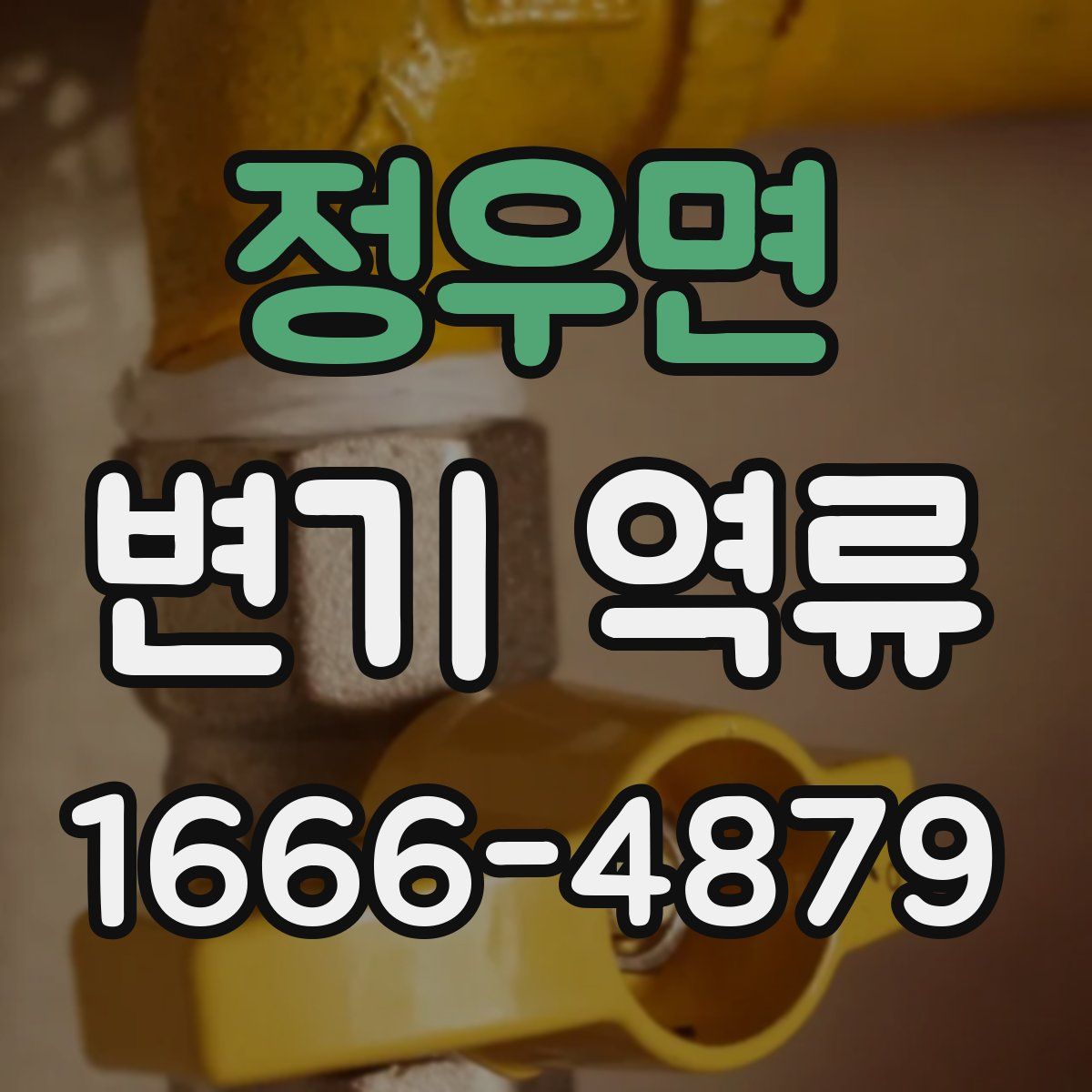 정우면 변기 역류