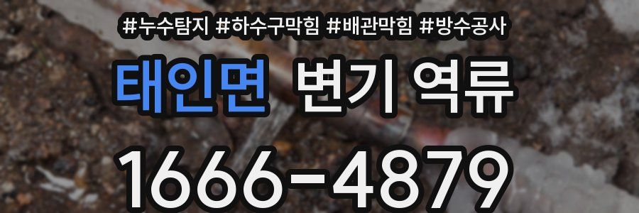 태인면 변기 역류