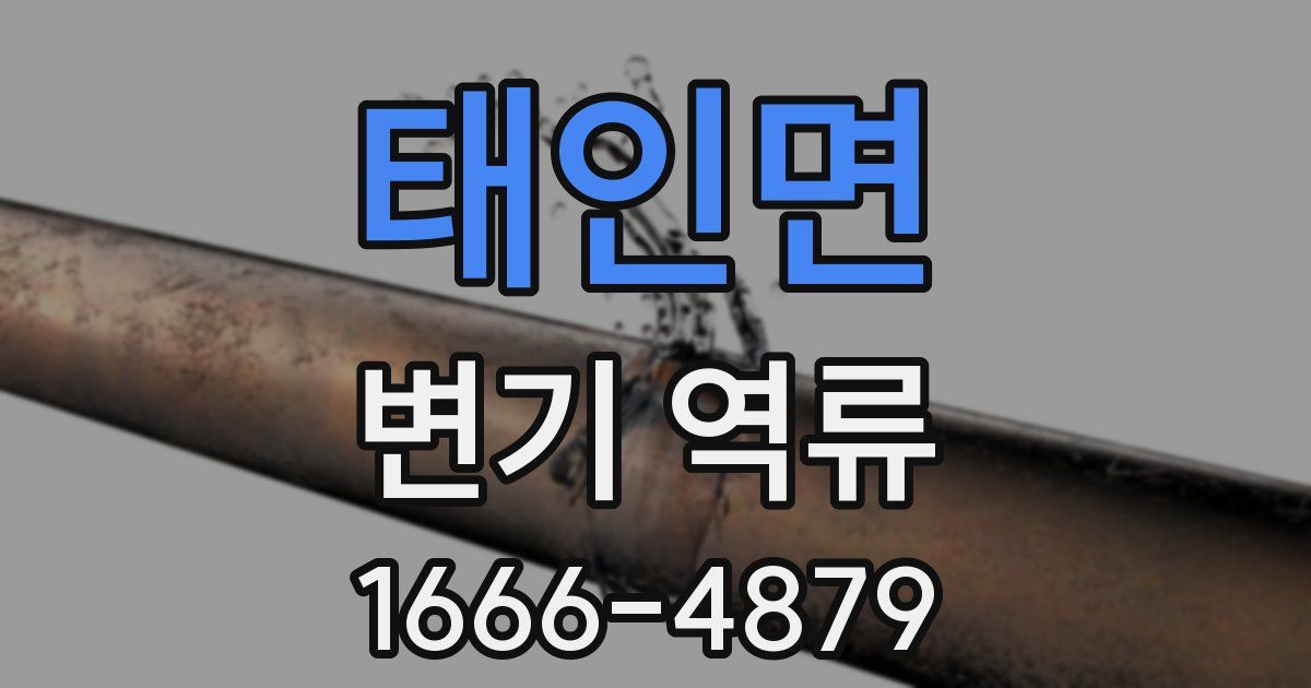 태인면 변기 역류