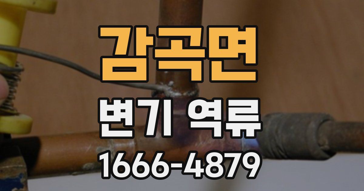 감곡면 변기 역류