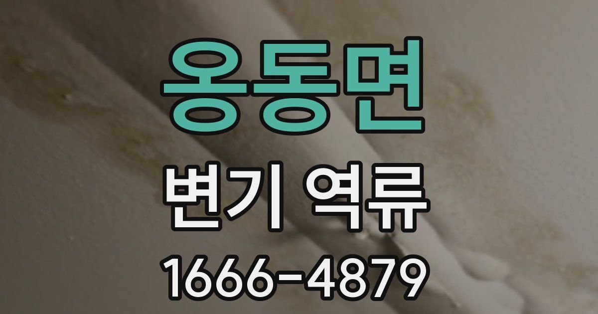 옹동면 변기 역류