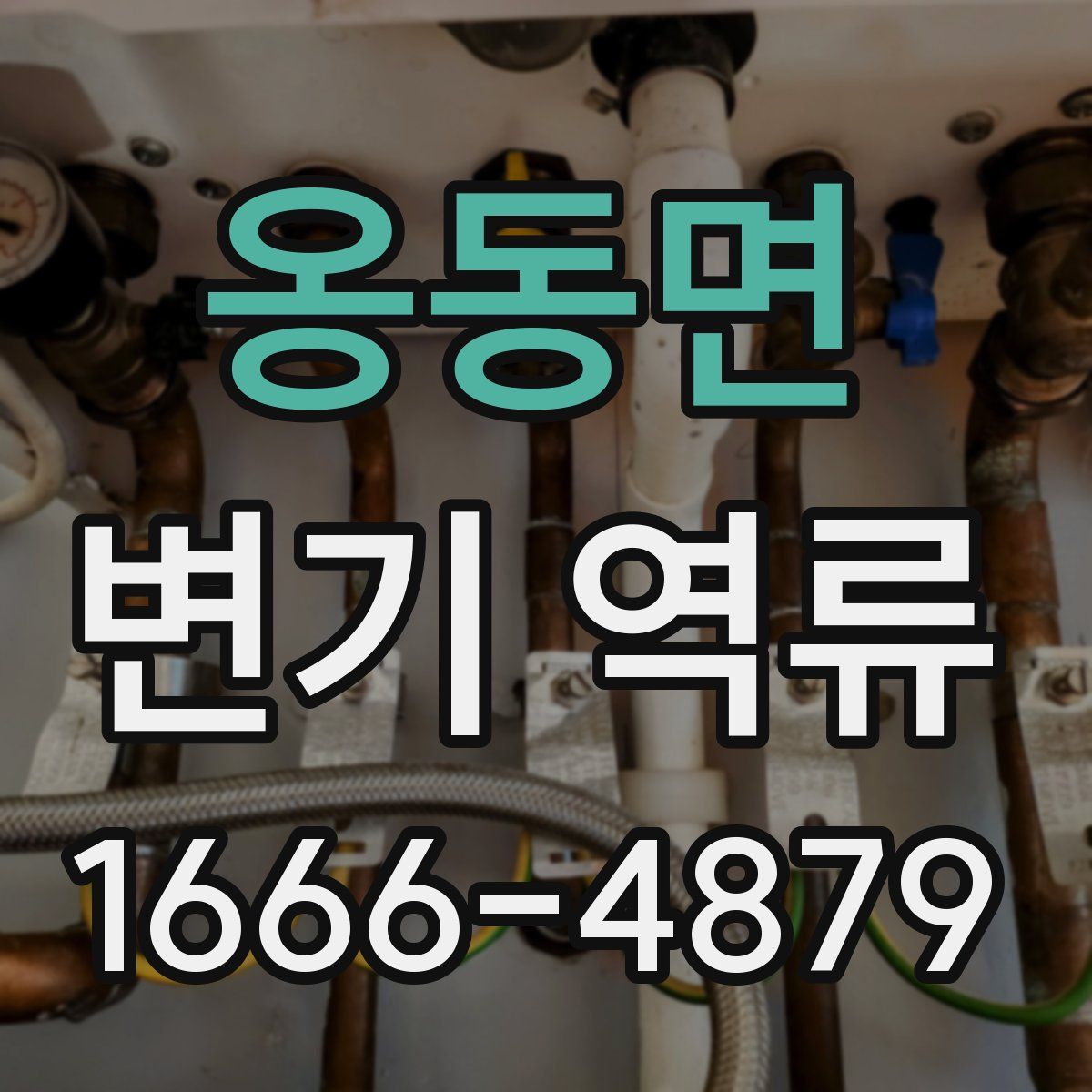 옹동면 변기 역류
