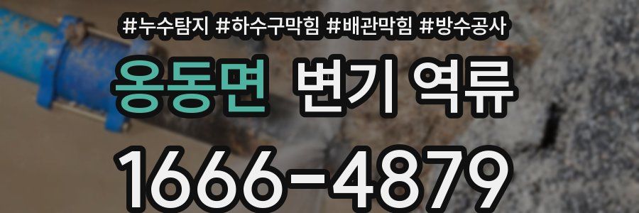 옹동면 변기 역류