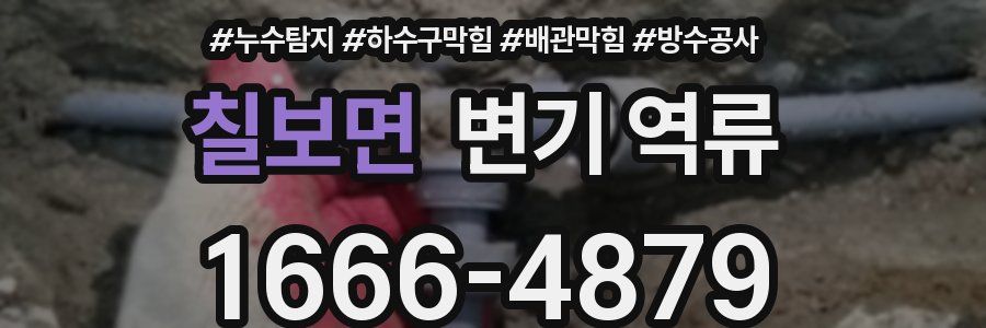 칠보면 변기 역류