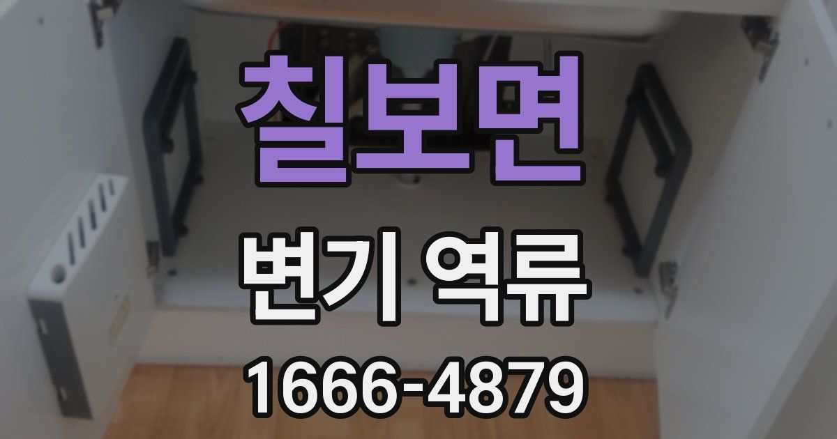 칠보면 변기 역류