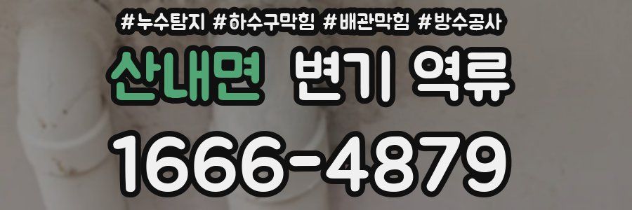 산내면 변기 역류