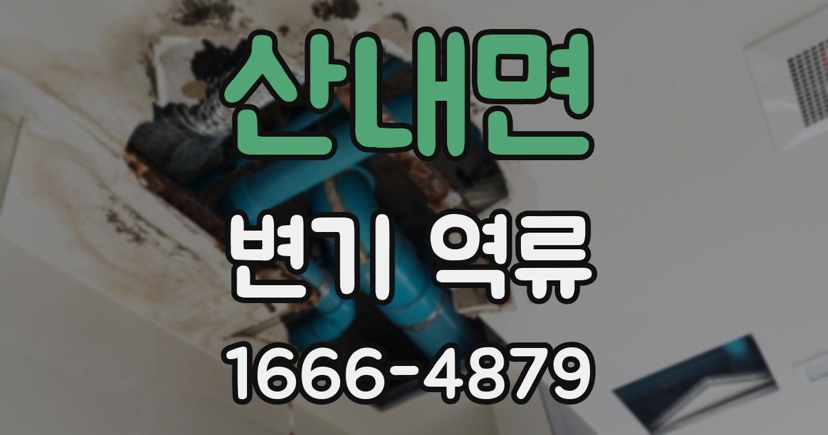 산내면 변기 역류