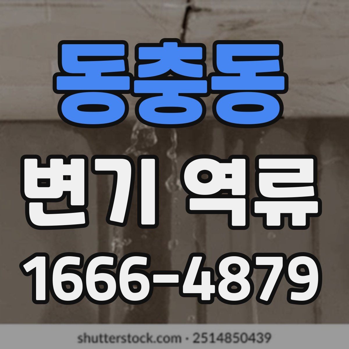 동충동 변기 역류 물 높이가 들쑥날쑥할 때 체크할 항목