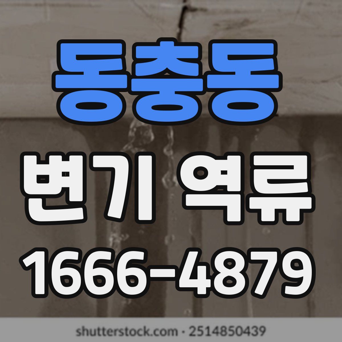 동충동 변기 역류