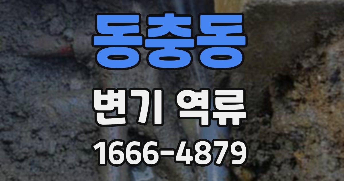 동충동 변기 역류