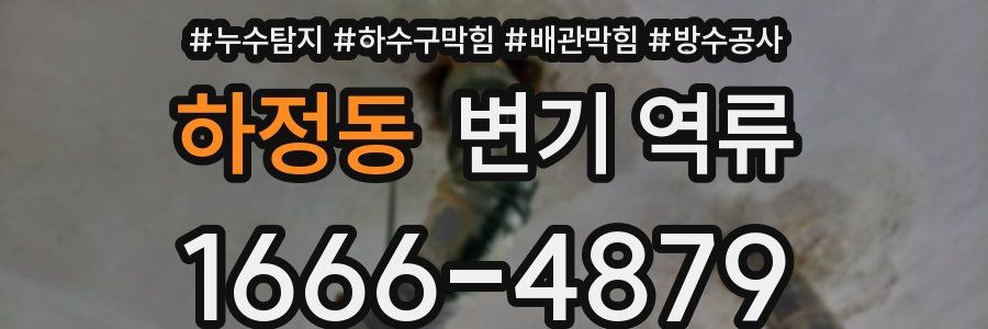 하정동 변기 역류
