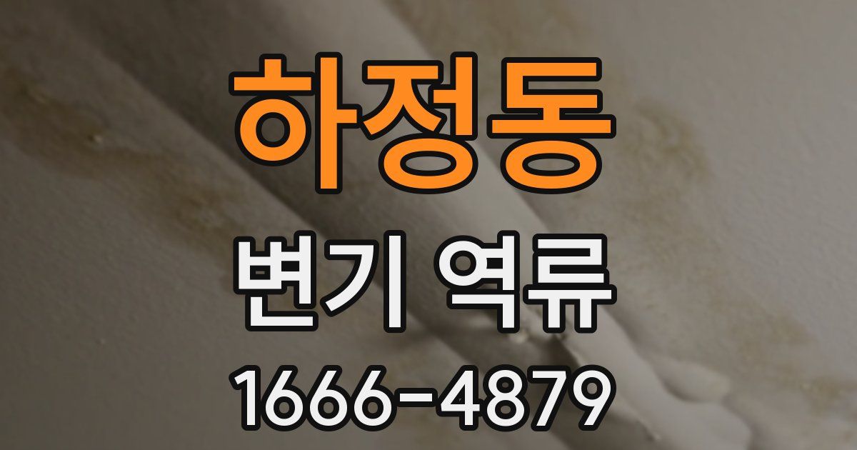 하정동 변기 역류