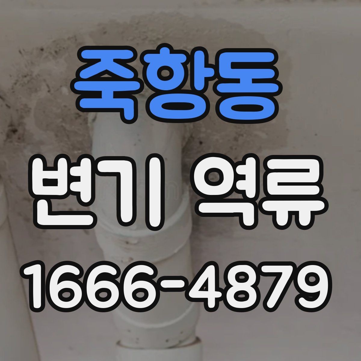 죽항동 변기 역류 예방을 위한 반복 점검 항목
