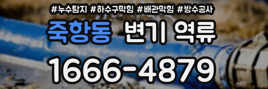 죽항동 변기 역류