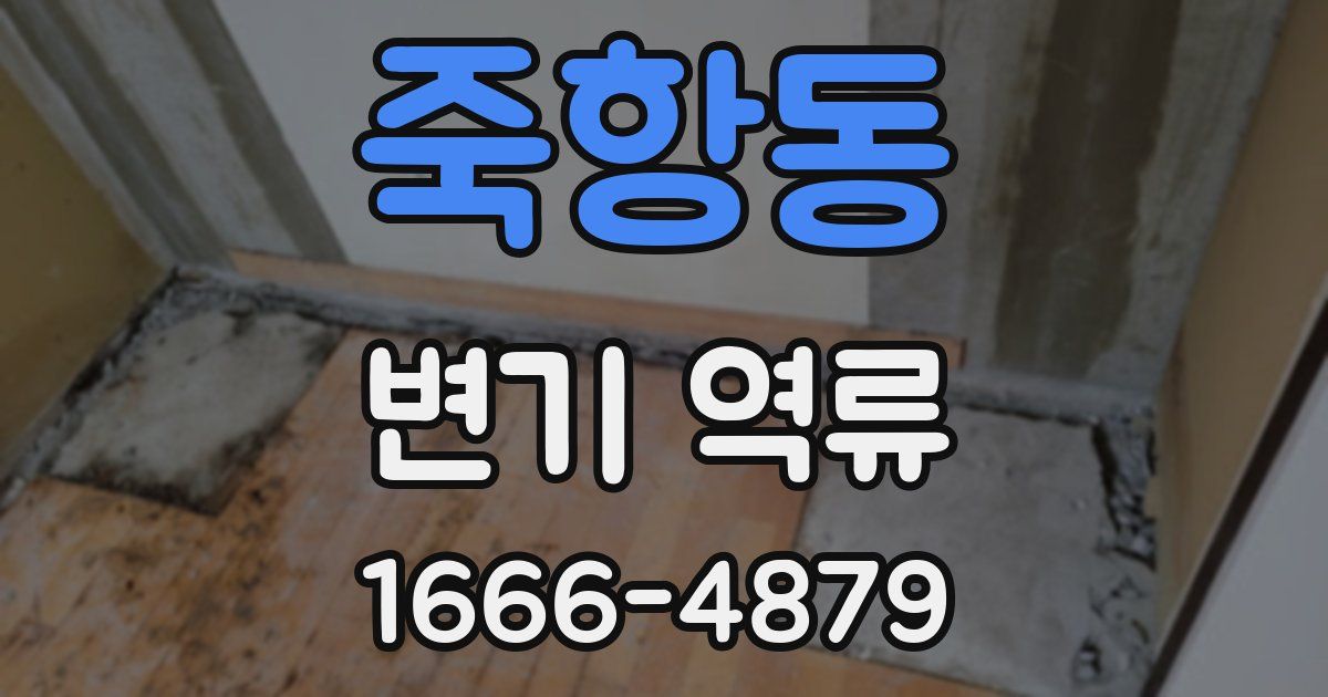 죽항동 변기 역류