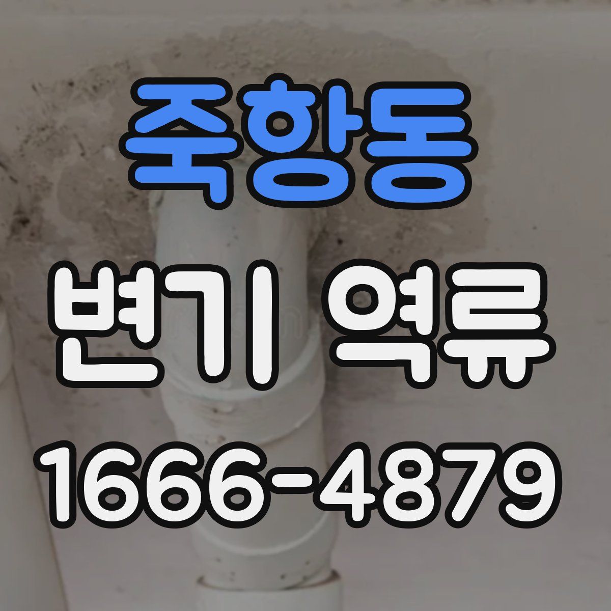 죽항동 변기 역류