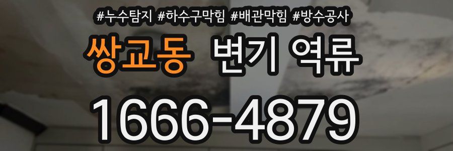 쌍교동 변기 역류