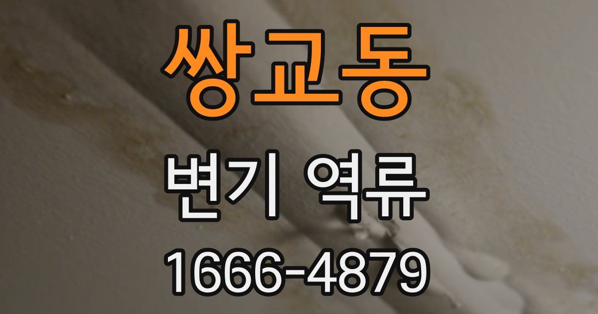 쌍교동 변기 역류