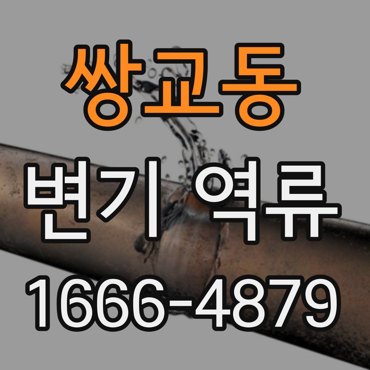 쌍교동 변기 역류
