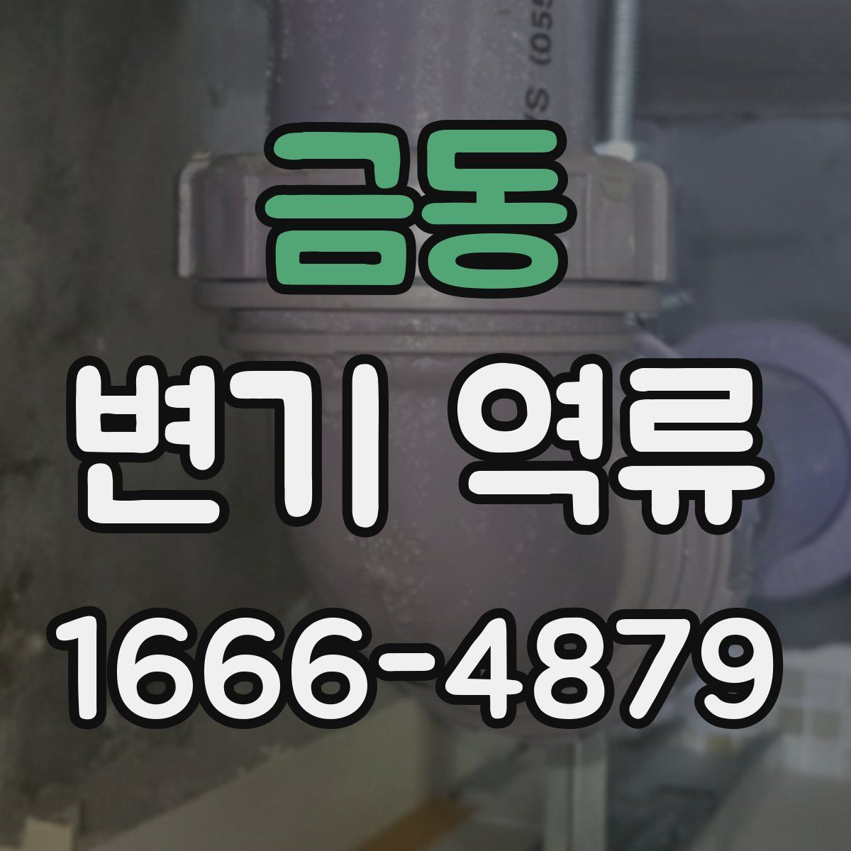 금동 변기 역류