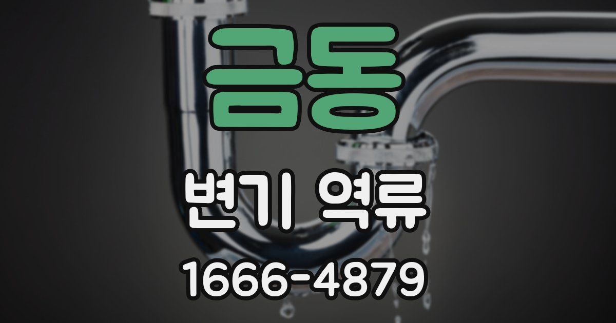 금동 변기 역류
