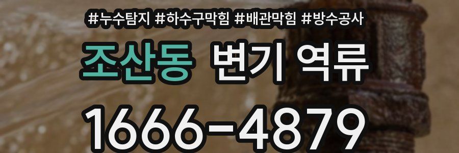 조산동 변기 역류