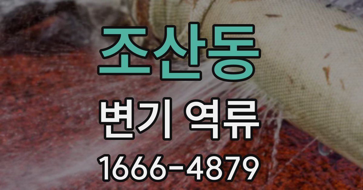 조산동 변기 역류