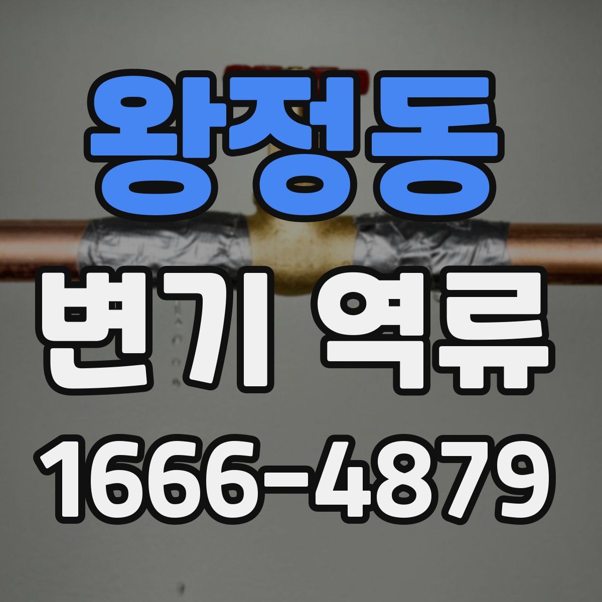왕정동 변기 역류