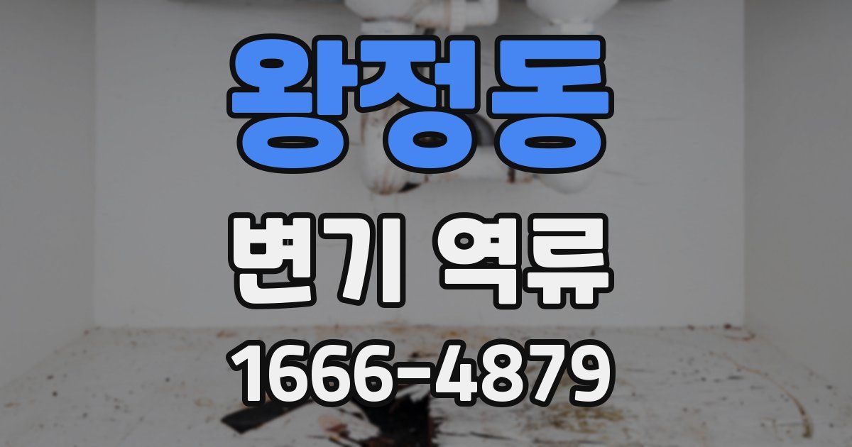 왕정동 변기 역류