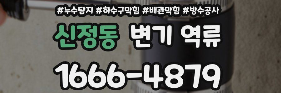 신정동 변기 역류