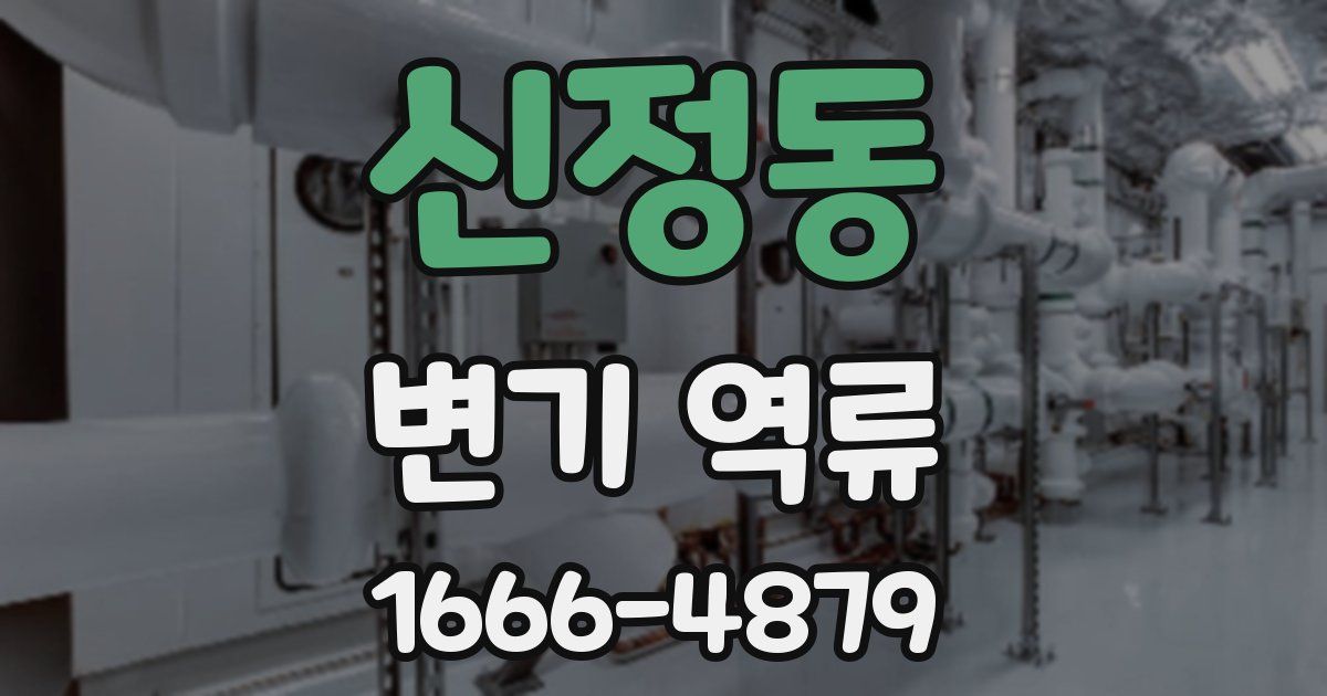 신정동 변기 역류