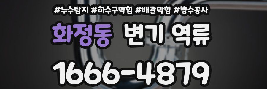 화정동 변기 역류