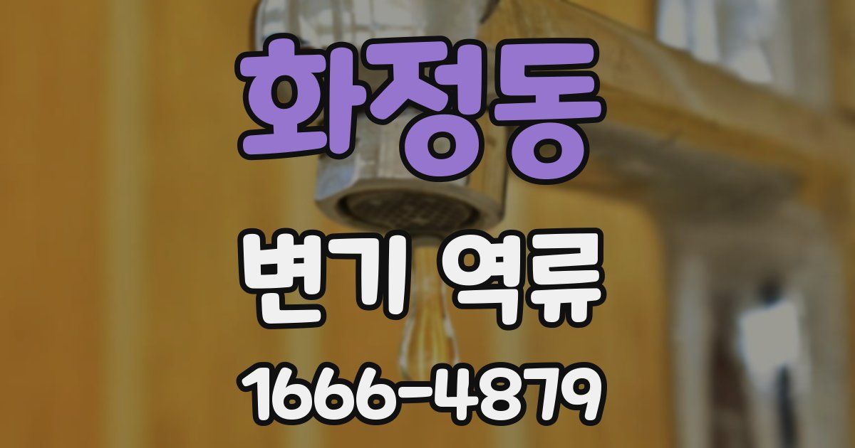 화정동 변기 역류