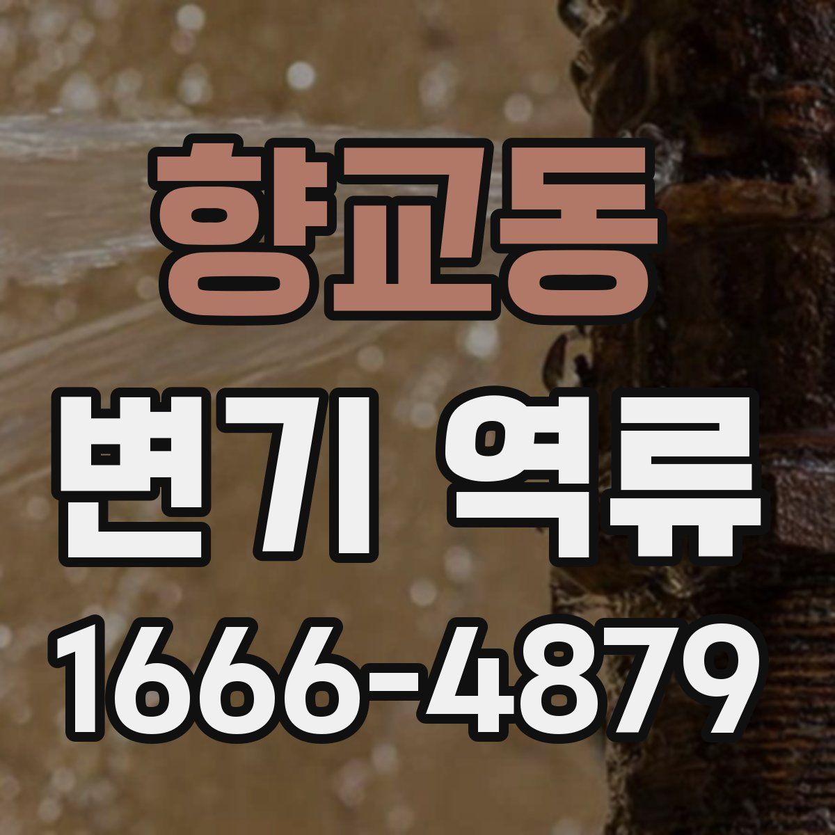 향교동 변기 역류